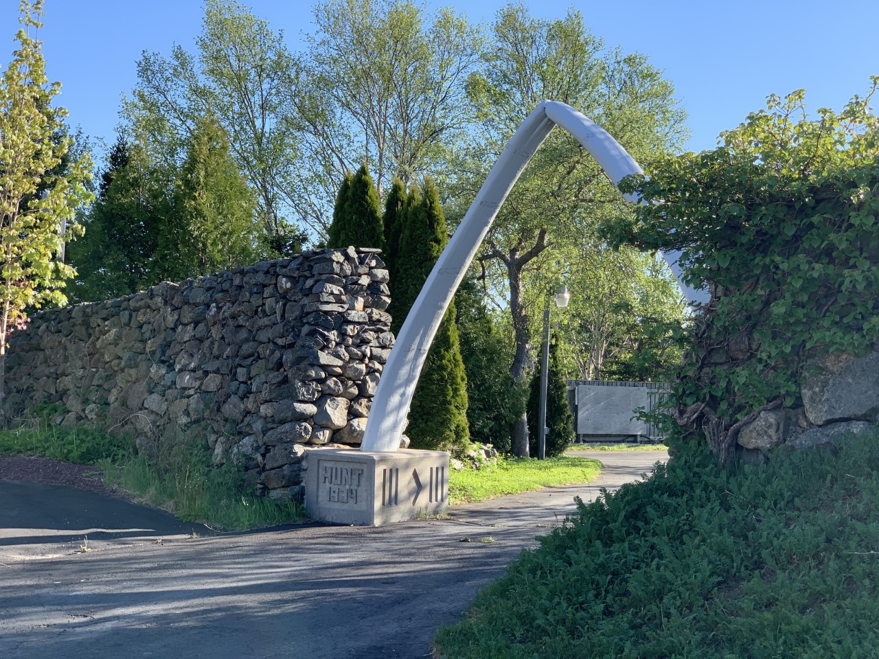 Whalebone arch at FAF head office